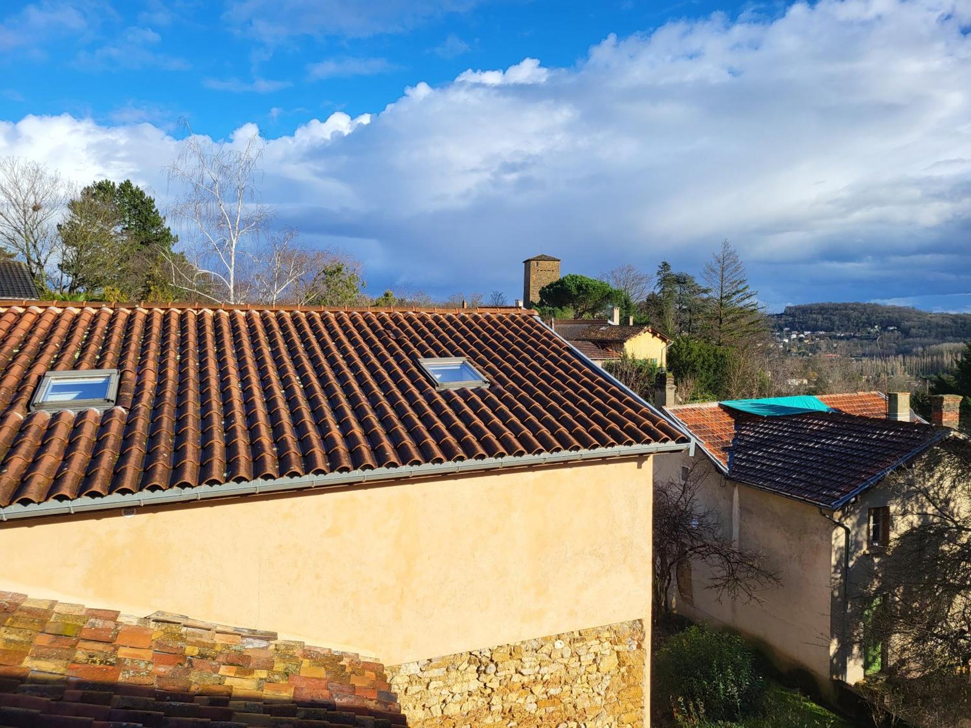 Gite Le Grenier Des Maraichers Albigny Exterior photo
